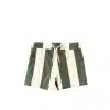 Salted Stories - Wide Stripe - Trunks