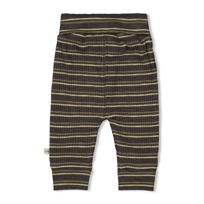 Feetje - Broek rib met streep - Rawrsome