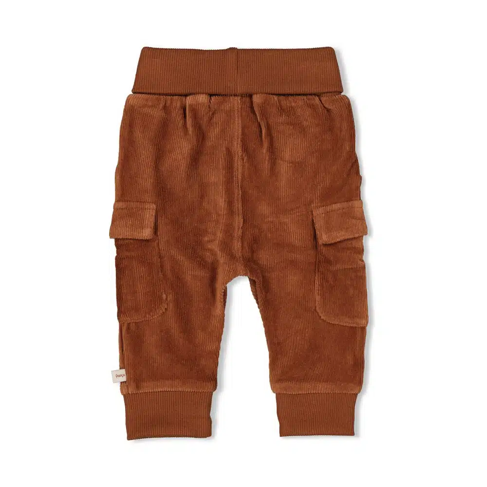 Feetje - Broek velours rib - Wild World