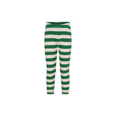 The New Chapter - Legging Stripe - Zane - Green Stripes