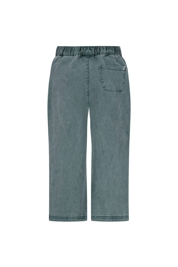The New Chapter - Denim Pants - Atlas