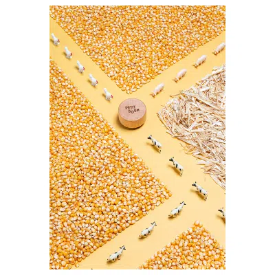 Petit Boum - Sensorische fles - Boerderij