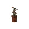Maileg - Flower pot - Plant - Mouse