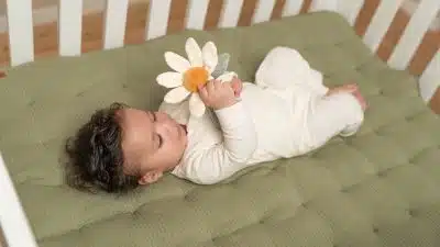 Little Dutch - Rammelaar bloem Little Farm