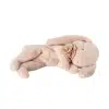 Maileg - Sleeping bunny plush - Small - Powder