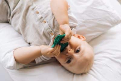 Oli&Carol - Bijtspeeltje - Chlorophyll Leaf