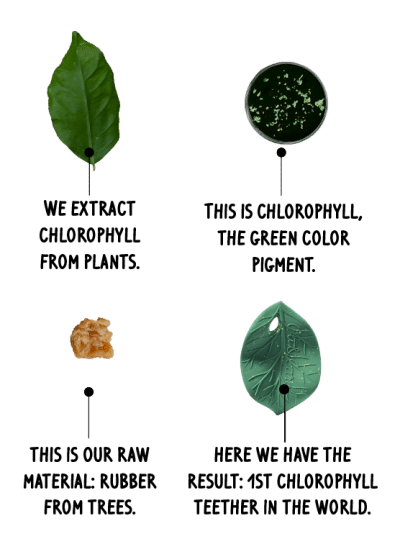 Oli&Carol - Bijtspeeltje - Chlorophyll Leaf