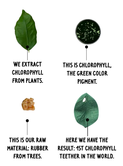 Oli&Carol - Bijtspeeltje - Chlorophyll Leaf