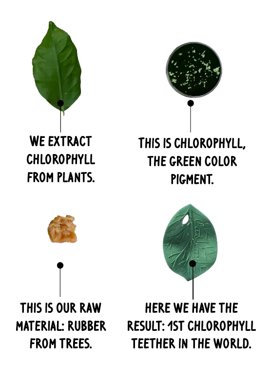 Oli&Carol - Bijtspeeltje - Chlorophyll Leaf