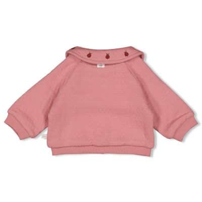 Feetje - Jasje - Ladybug