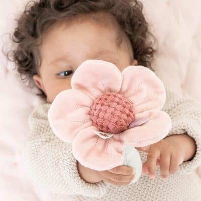 Little Dutch - Fairy Garden - Rammelaar Bloem