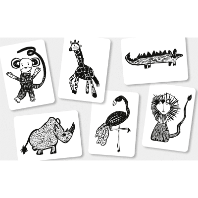 Mini Coco - Flash Cards - Safari Diertjes
