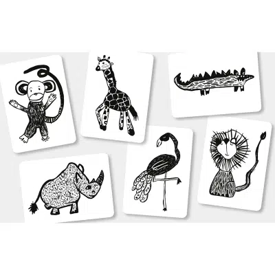 Mini Coco - Flash Cards - Safari Diertjes