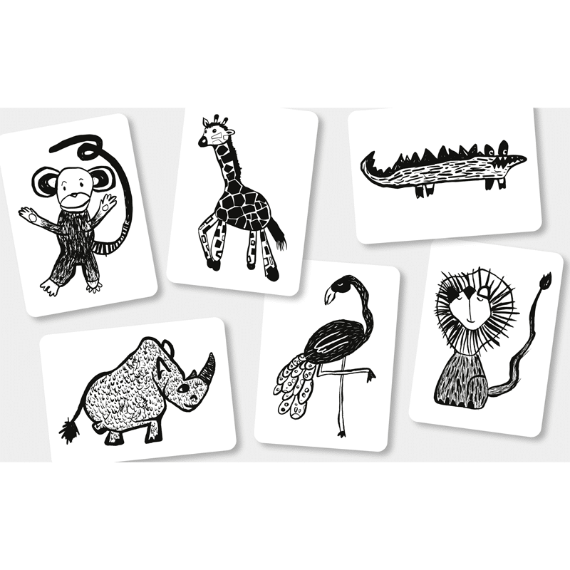 Mini Coco - Flash Cards - Safari Diertjes
