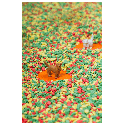 Petit Boum - Sensorische fles - Huisdieren