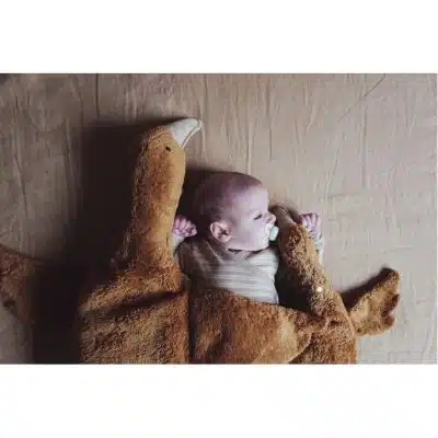 Senger - Cuddly animal Goose small - Rust