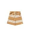 Your Wishes - Triad Stripe - Bermuda Shorts