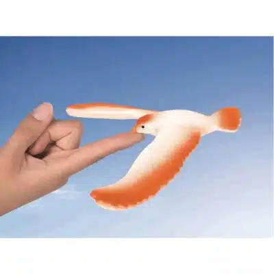 PhänoMINT - Magische Balancerende Vogel