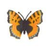 Feestbeest - Bedel - Feestbeest - Vlinder