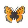 Feestbeest - Bedel - Feestbeest - Vlinder