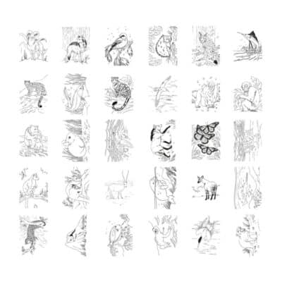 KIDYWOLF - KIDYDRAW-PAD - Tekenbord - Animals