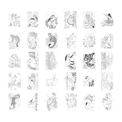 KIDYWOLF - KIDYDRAW-PAD - Tekenbord - Animals