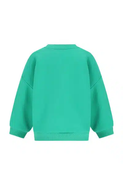 The New Chapter - Sweater - Billie - Parakeet