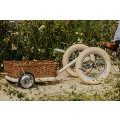 Trybike - Wagon