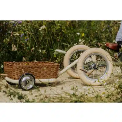 Trybike - Wagon